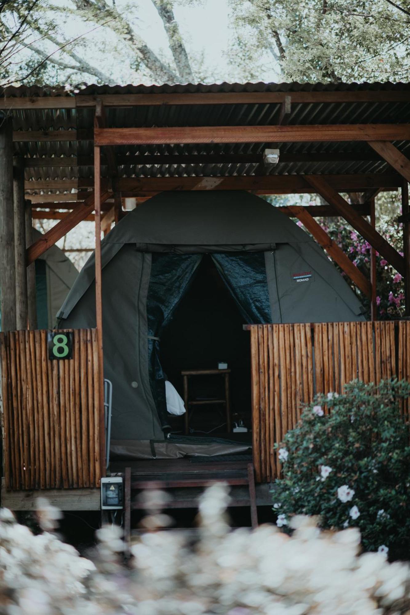 Storms River Forest Lodge Стормсрівер Екстер'єр фото