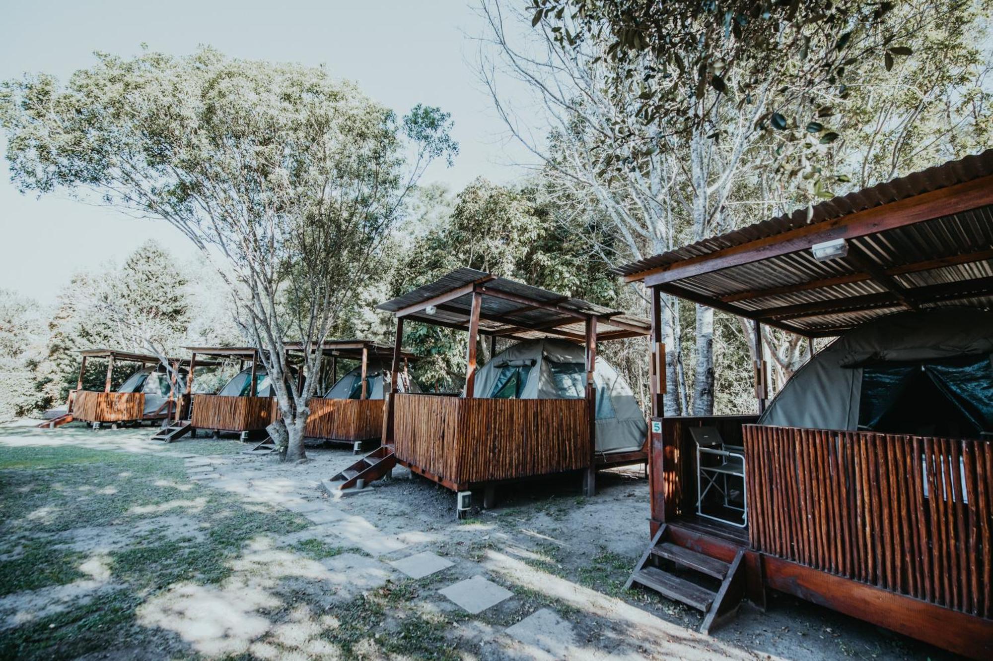 Storms River Forest Lodge Стормсрівер Екстер'єр фото