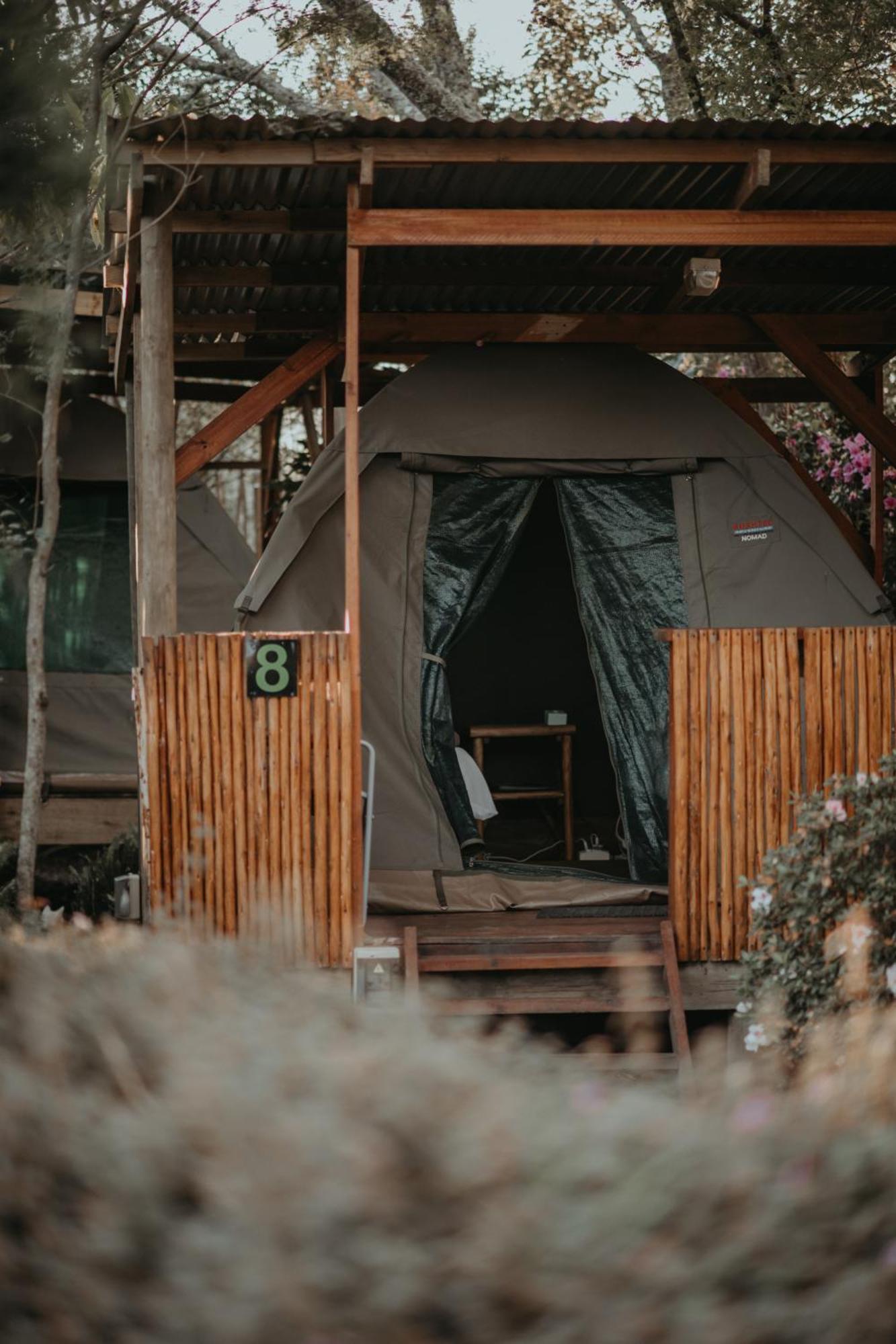 Storms River Forest Lodge Стормсрівер Екстер'єр фото