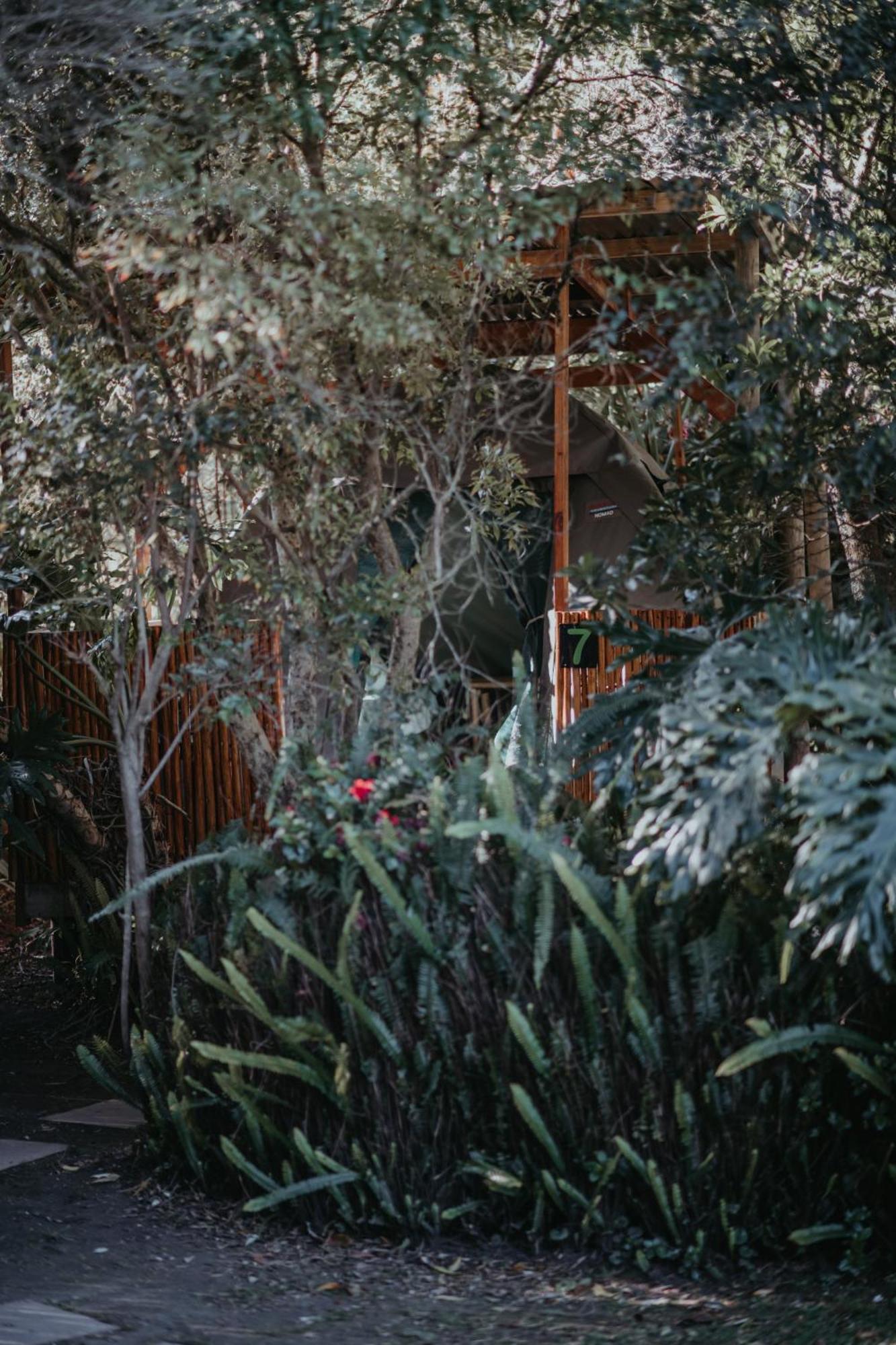 Storms River Forest Lodge Стормсрівер Екстер'єр фото